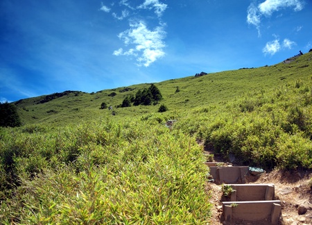 Alpine path with wooden steps leading to the top of Hehuan Mtn in Taiwanの写真素材