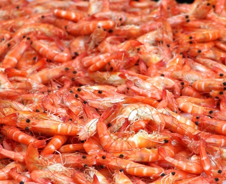 Fresh shrimps on ice are sold at an outdoor marketの写真素材