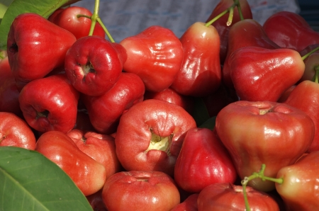 Wax apples or bell fruits  Syzygium samarangense  are a popular fruit in Taiwanの写真素材