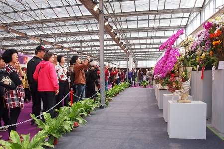 TAINAN, TAIWAN - MARCH 14: Visitors enjoy the flower exhibits of the 2013 Taiwan International Orchid Show on March 14, 2013 in Tainan.のeditorial素材