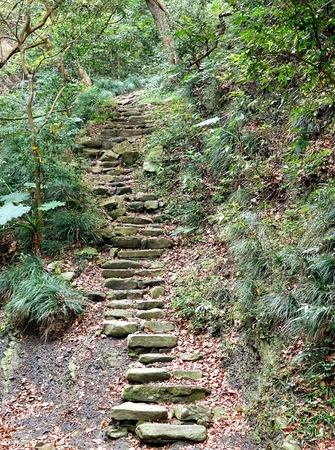 Old stone steps leading uphill in a lush green forest