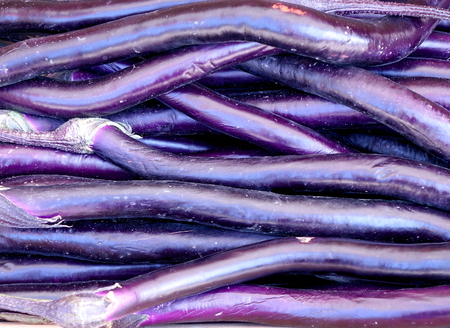 Deep purple eggplants for sale at the marketの写真素材