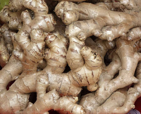 Fully grown fresh ginger roots for sale at a market stallの写真素材
