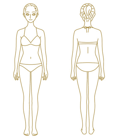 woman body, modelのイラスト素材
