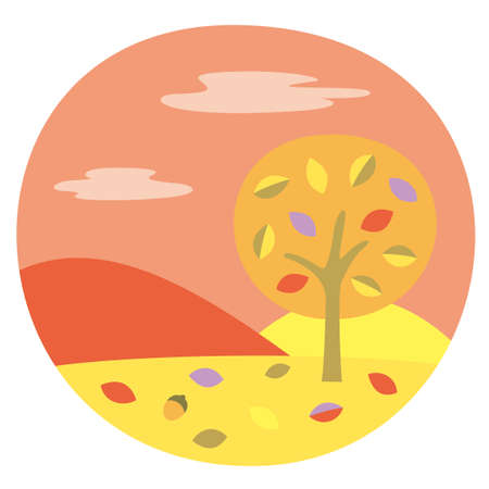 November Autumn leaves sunsetの写真素材