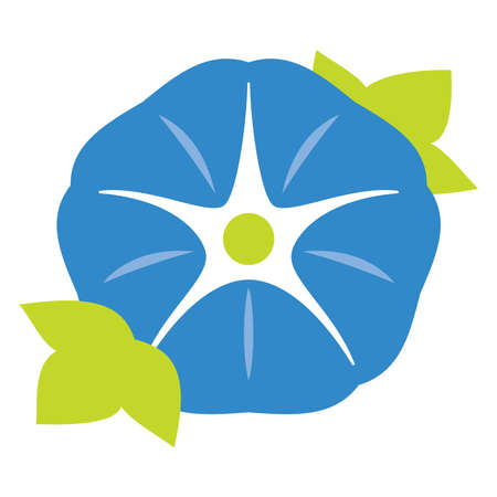 blue morning glory, simple design icon, illustrationの写真素材