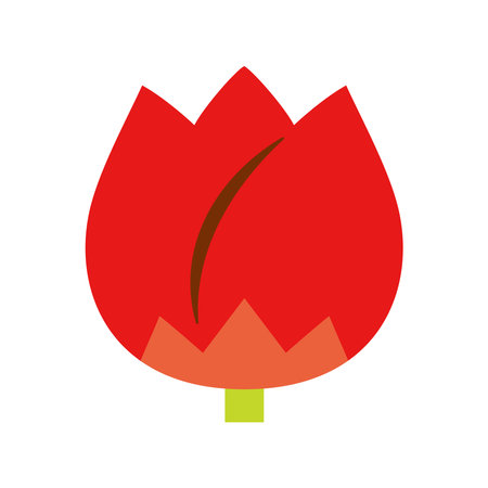 red tulip, icon illustrationの写真素材