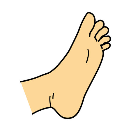 bare foot, bottom of foot, illustrationの写真素材
