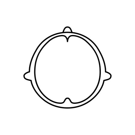 human head model, brains, outline, head top view, vector file set, monochrome illustrationのイラスト素材