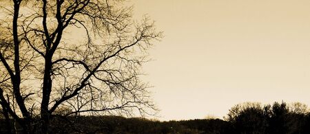 result of fallの写真素材