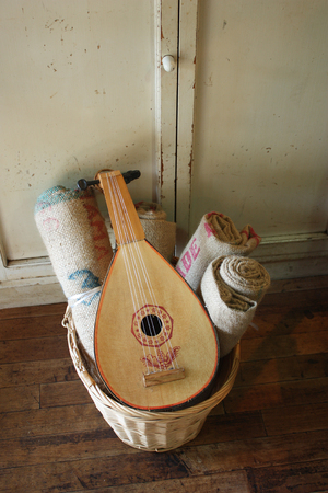 mandolin and Juteの写真素材