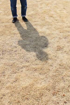  shadow_grass_silhouetteの写真素材