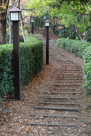 Pedestrian pathの写真素材