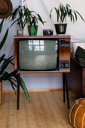Vintage TV set on a wooden table in a room with plants