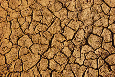 Dry weathered desert soil background with pattern of cracks