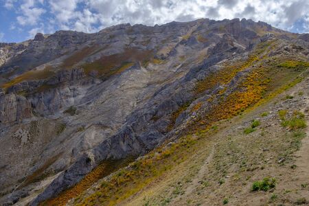 Slope of rocky mountain ridge. Summer mountain view.の写真素材