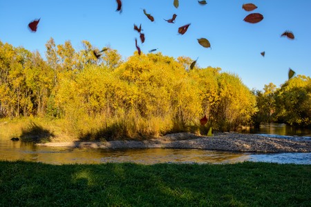Evening in the autumn forestの写真素材