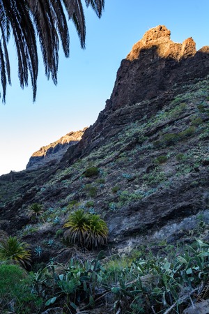 Maska ravine, cliffs Tenerife Spainの写真素材