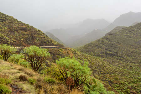 Road in the mountains after rain. light fog in the mountains.の写真素材