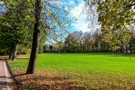 beautiful autumn alley. autumn royal park. beautiful autumn alley. beautiful path between trees.