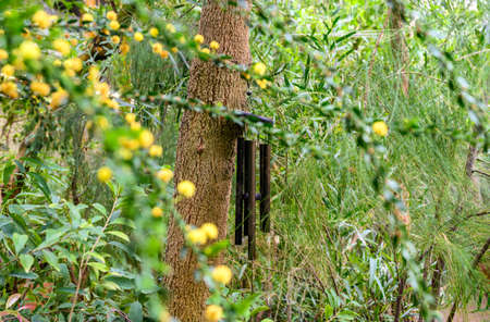 Bamboo sticks. bell. wind-bell. windbells Golden Wind Chimes - Hanging Windbells