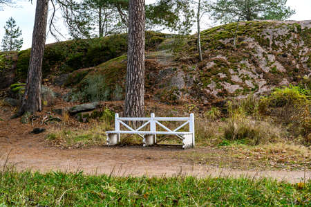 Bench in the autumn park. cozy bench in the beautiful autumn parkの写真素材