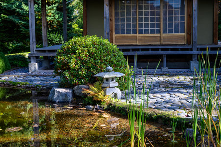 Japanese Garden. botanical park in early autumn. Sunny Autumn Dayの写真素材