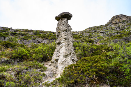 Stone mushrooms. Stone formations on the slope of a high mountain. Altai.の写真素材