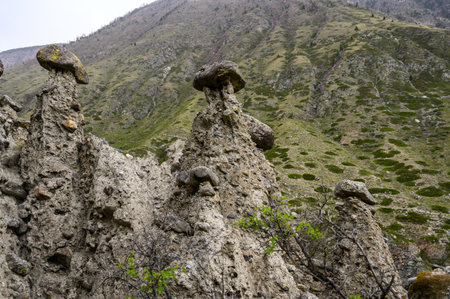 Stone mushrooms. Stone formations on the slope of a high mountain. Altai.の写真素材