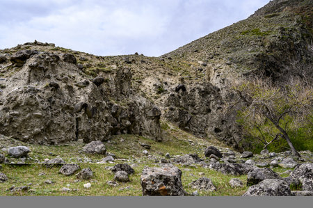 Stone formations on the slope of a high mountain. Altai. Stone mushrooms.の写真素材