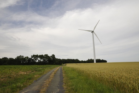 Wind turbine with a cereal fields and a little old road