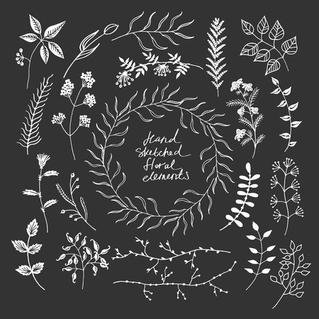 Collection of hand sketched floral elements on black backgroundのイラスト素材