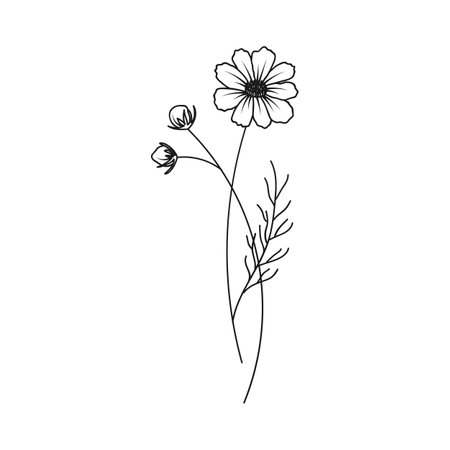 Cosmos October Birth Month Flower Illustrationのイラスト素材