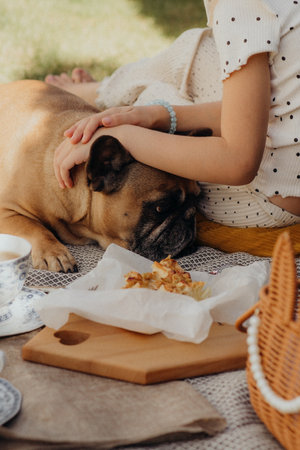 A child is petting a French bulldog on a picnic blanket, with a tea set and food nearby, creating a cozy outdoor scene filled with warmth and companionshipの写真素材