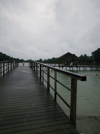 Scenic wooden pier stretches over tranquil water, bordered by trees and under a cloudy sky, inviting peaceful moments and reflection in natureの写真素材