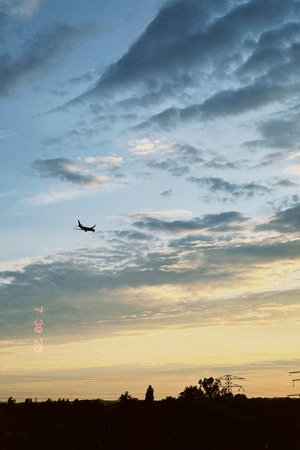 Airplane soaring in the vibrant sunset sky, surrounded by dramatic clouds and silhouettes of trees and power lines, evoking a sense of freedom and explorationの写真素材