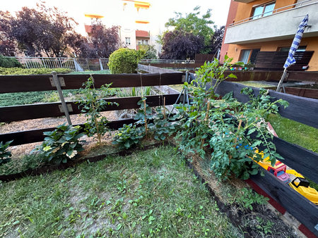 Vibrant garden scene featuring flourishing plants and vegetables along a wooden fence, creating a lively outdoor atmosphere filled with greenery and growthの写真素材