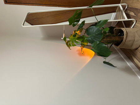 A vibrant indoor plant in a woven basket is positioned next to a tall mirror, reflecting gentle light and enhancing the tranquil ambiance of a contemporary interiorの写真素材