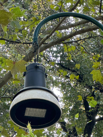LED street light is suspended from a tree branch, surrounded by lush green foliage, providing illumination and enhancing the outdoor ambiance of the environmentの写真素材