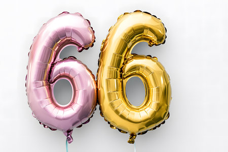 Chic Minimalism: The Elegance of 66.の素材