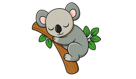 Koala sleeping on a tree branch. Vector illustration isolated on white background.のイラスト素材