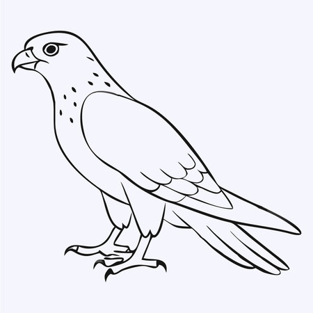 Falcon. Bird of prey. Vector illustration in flat style.のイラスト素材