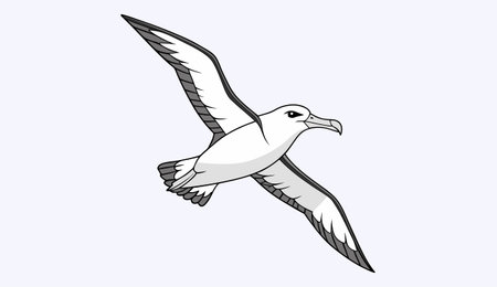 Vector illustration of a seagull on a white background. Cartoon style.のイラスト素材