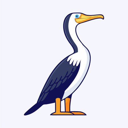 Cormorant. Vector illustration of a cormorant.のイラスト素材