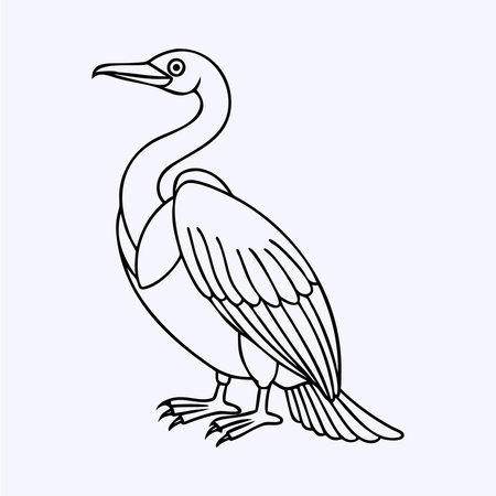 Cormorant. Vector illustration of a cormorant.のイラスト素材