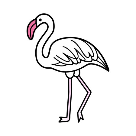 Pink flamingo bird vector Illustration isolated on a white background.のイラスト素材