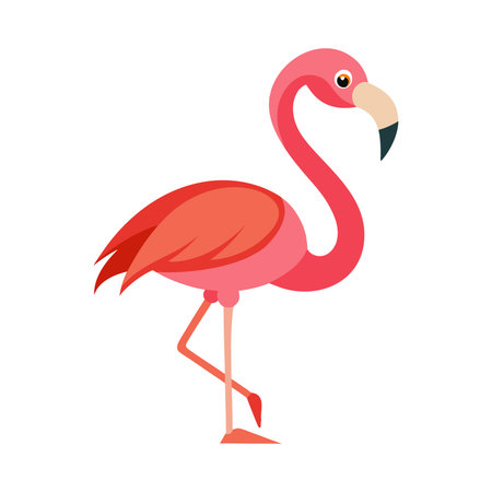 Pink flamingo bird vector Illustration isolated on a white background.のイラスト素材