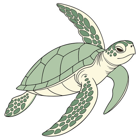 Sea turtle isolated on a white background. Hand drawn vector illustration.のイラスト素材