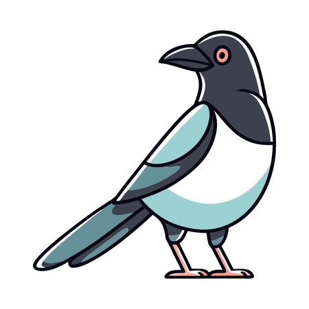Vector illustration of a magpie on a white background. Vector illustration.のイラスト素材