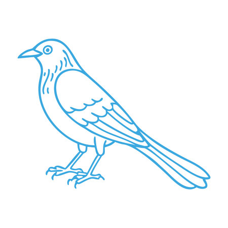 Vector illustration of a magpie on a white background. Vector illustration.のイラスト素材